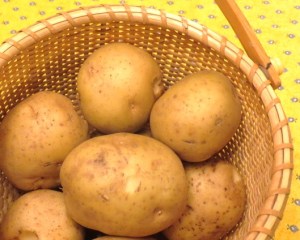 Oven Roasted Parmesan Potatoes - My Yellow Farmhouse.com (2)